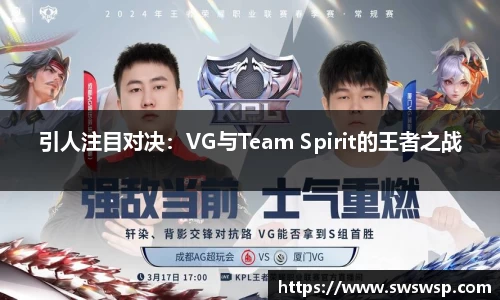 引人注目对决：VG与Team Spirit的王者之战