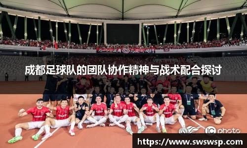 成都足球队的团队协作精神与战术配合探讨